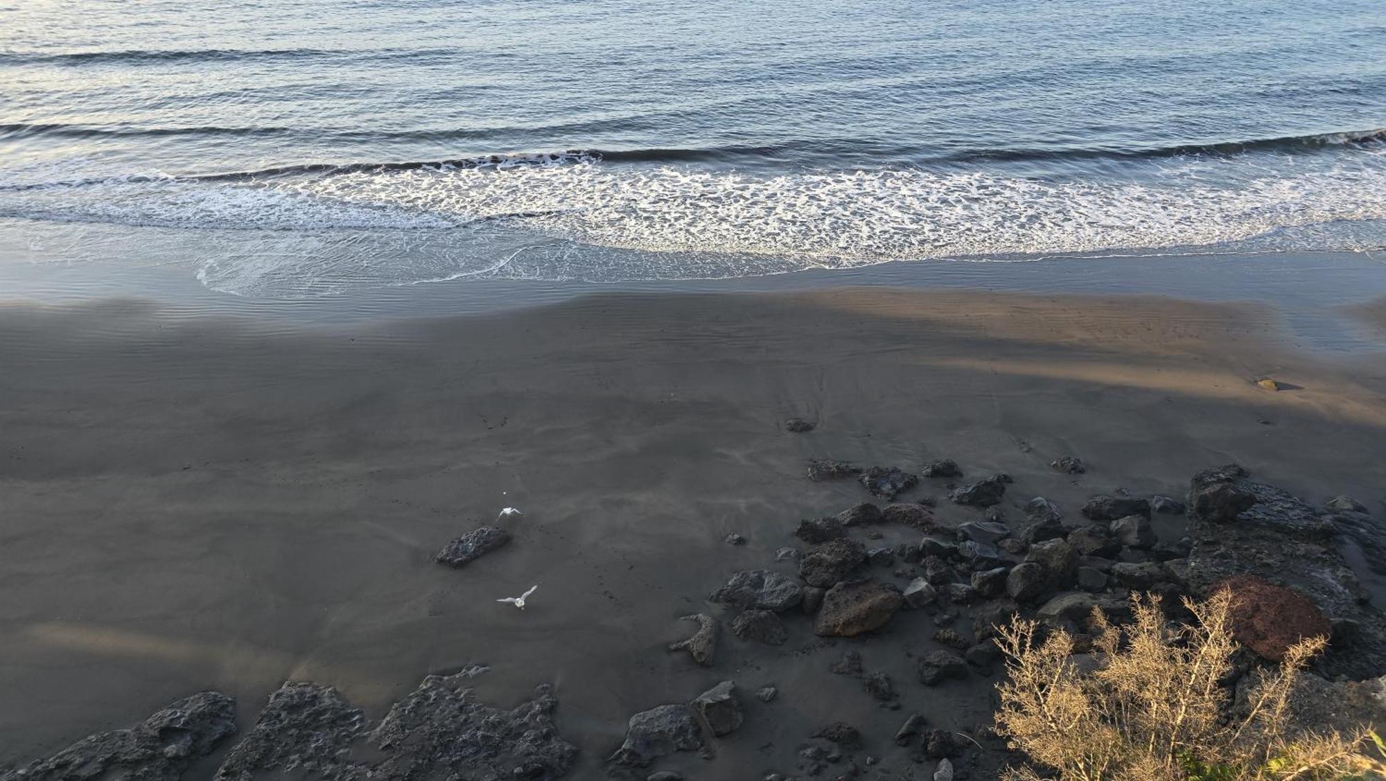 Seaview Apartment, Playa Chica, Las Gaviotas, Apartamento 311 サンタクルスデテネリフェ エクステリア 写真